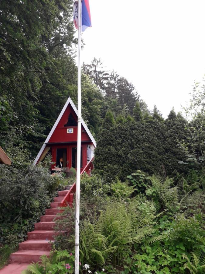 Ferienhaus Sommerland Auszeithuette Freyung Zewnętrze zdjęcie
