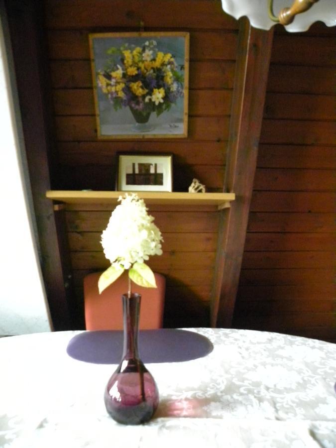 Ferienhaus Sommerland Auszeithuette Freyung Zewnętrze zdjęcie